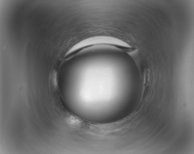 X0000053070041200507251511