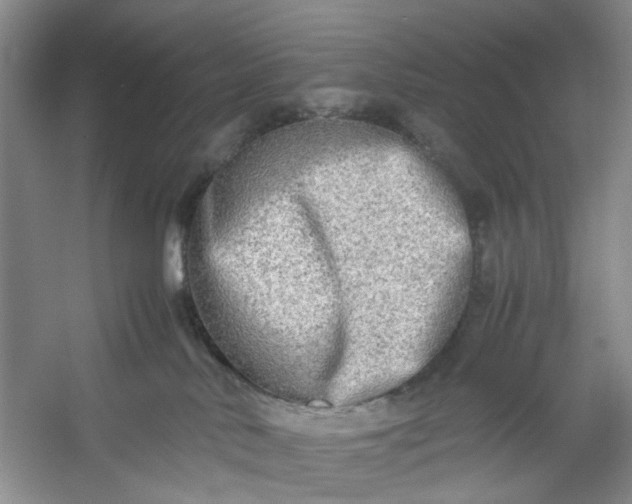 X0000053070042200507251511