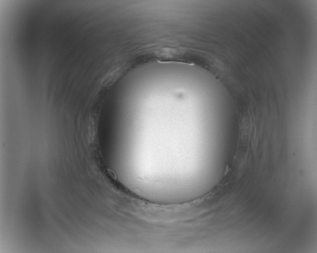 X0000053070043200507251511