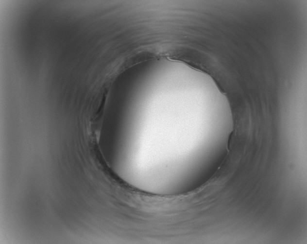 X0000053070044200507251511