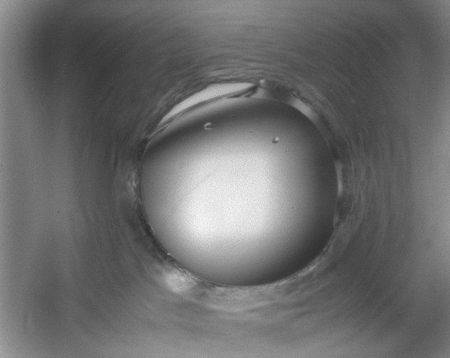 X0000053070045200507251511