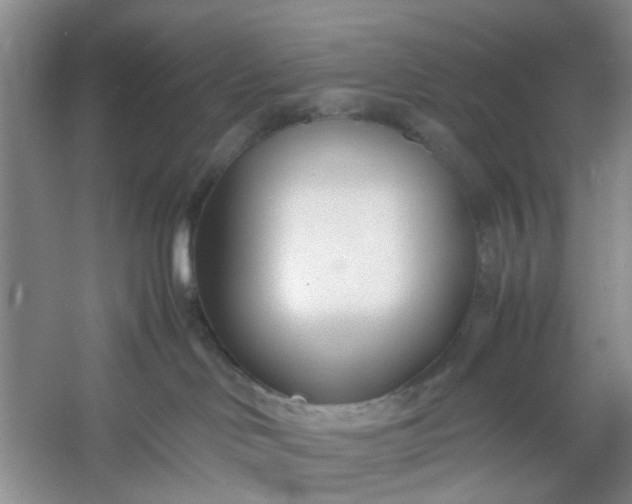 X0000053070046200507251511