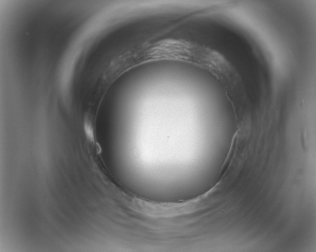 X0000053070047200507251511