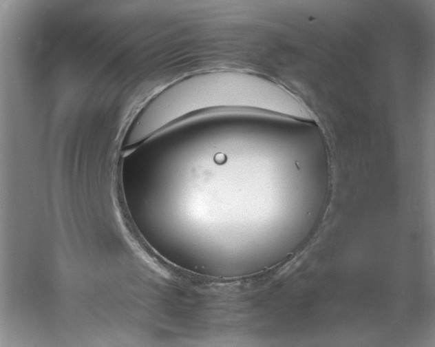 X0000053070049200507251510