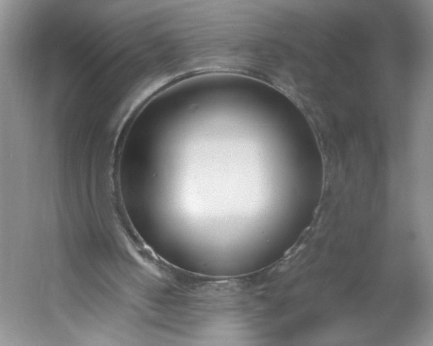 X0000053070050200507251510