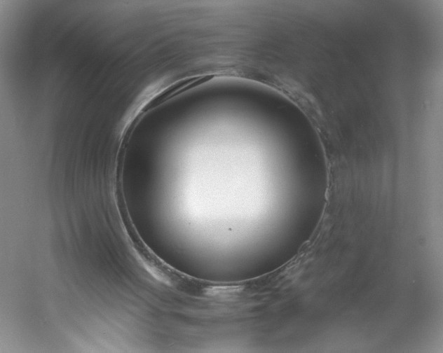 X0000053070051200507251510