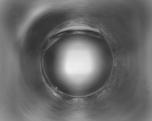 X0000053070052200507251510