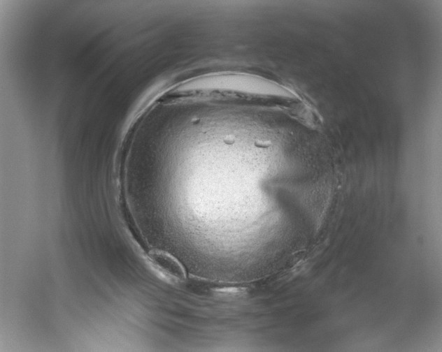 X0000053070053200507251510