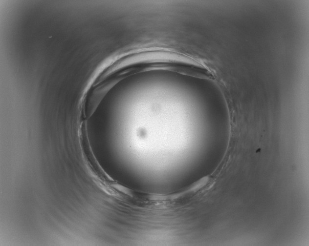 X0000053070056200507251510