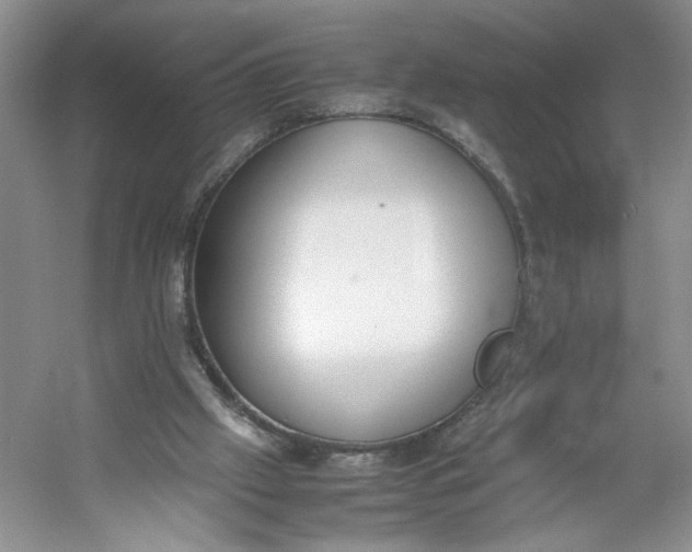 X0000053070057200507251510