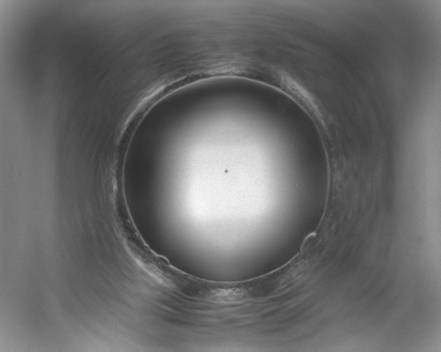 X0000053070059200507251510