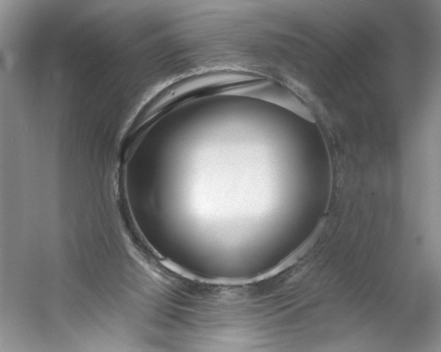 X0000053070060200507251510