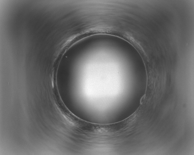 X0000053070062200507251510