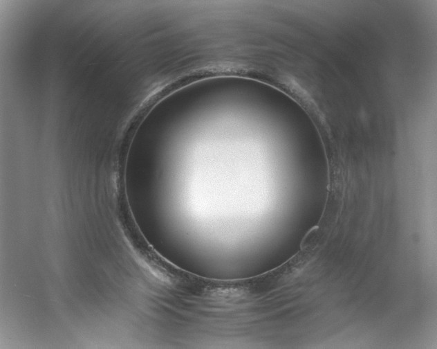 X0000053070063200507251510