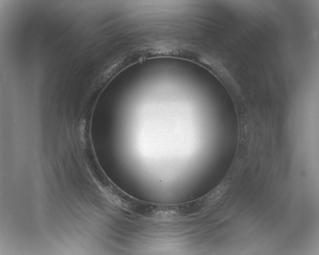 X0000053070066200507251510