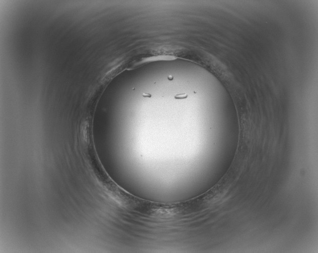 X0000053070071200507251510