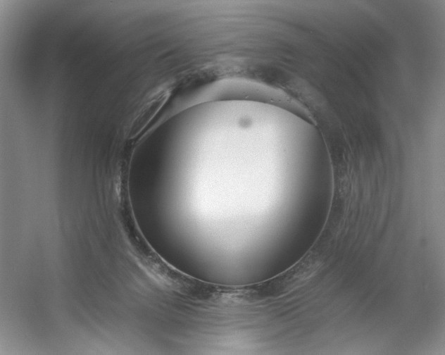 X0000053070072200507251510