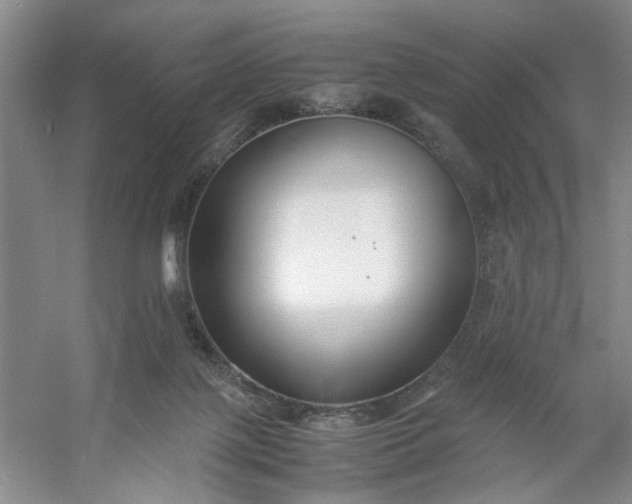 X0000053070075200507251510