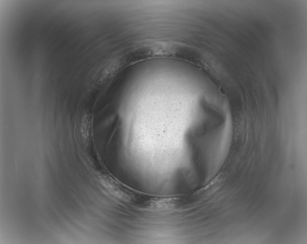 X0000053070078200507251511