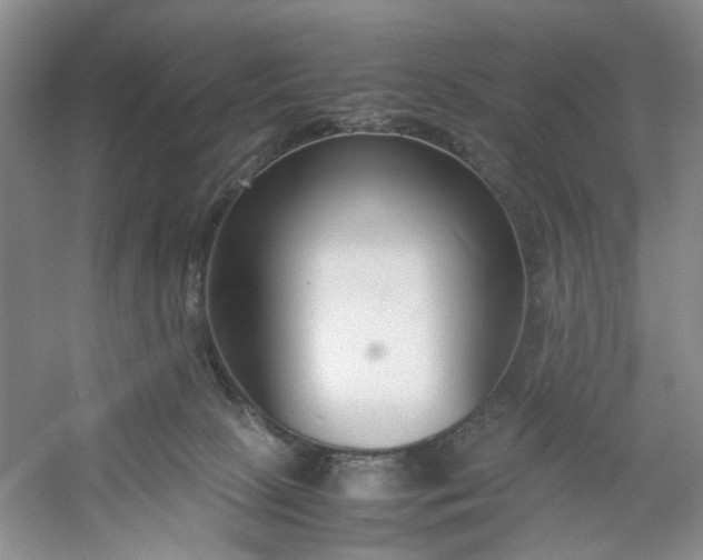 X0000053070081200507251511