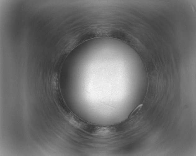 X0000053070083200507251511