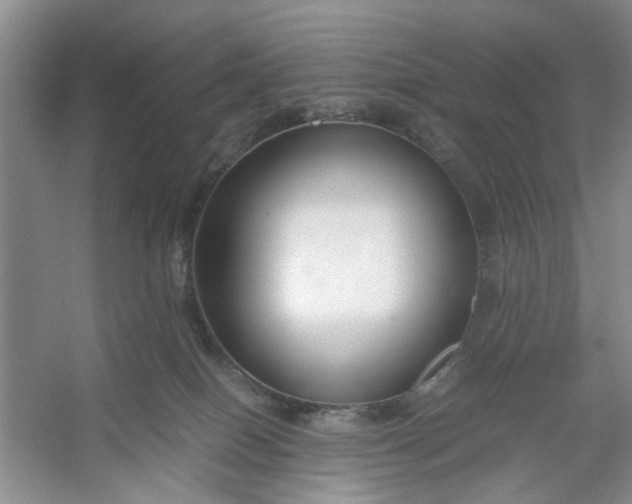 X0000053070086200507251511