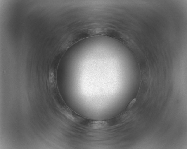 X0000053070087200507251511