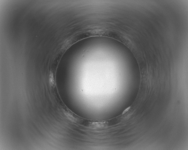 X0000053070089200507251511