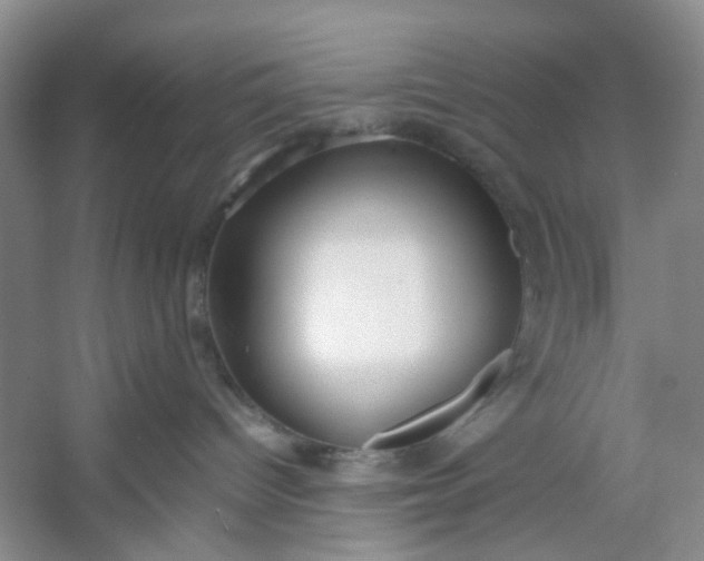 X0000053070096200507251511