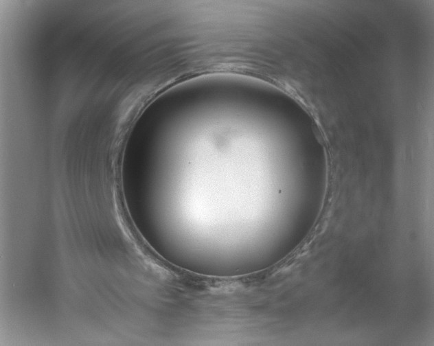 X0000053070097200507251510