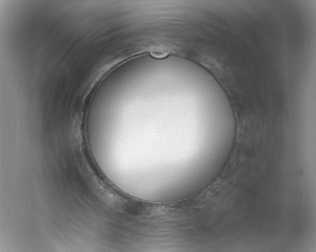 X0000053070098200507251510