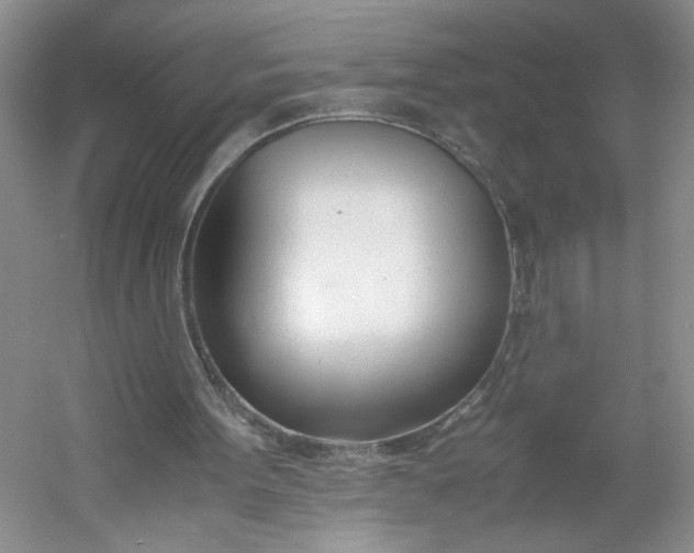 X0000053070099200507251510