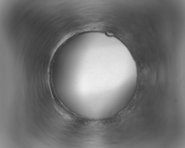 X0000053070100200507251510