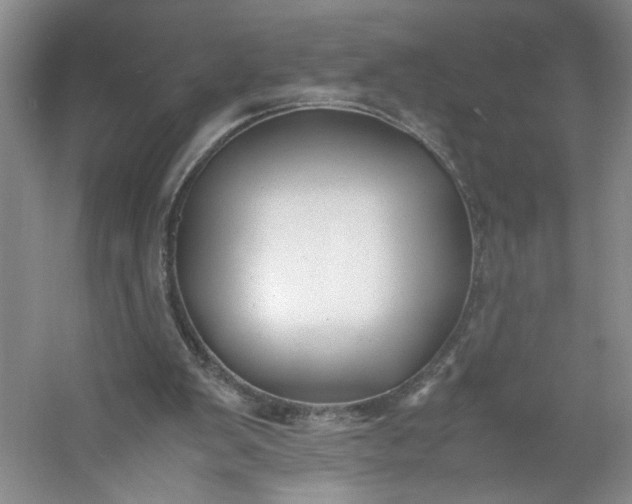 X0000053070103200507251510