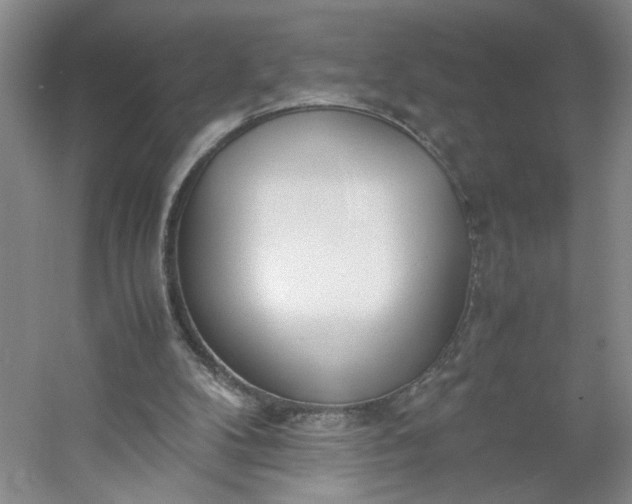 X0000053070104200507251510