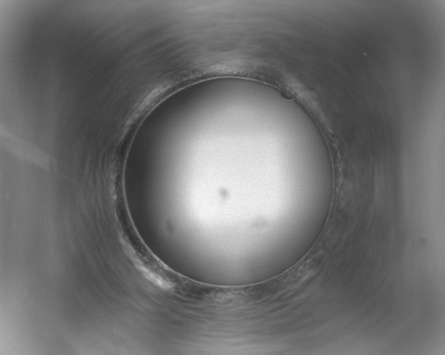 X0000053070106200507251510