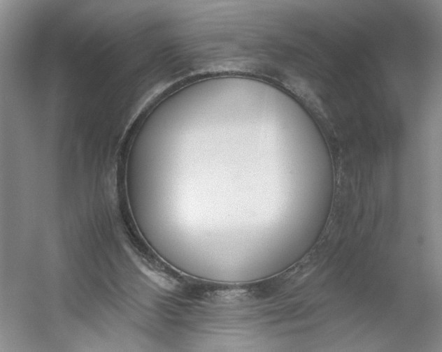 X0000053070108200507251510