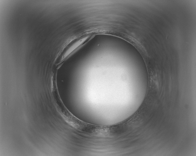 X0000053070110200507251510