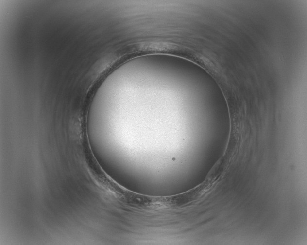 X0000053070111200507251510