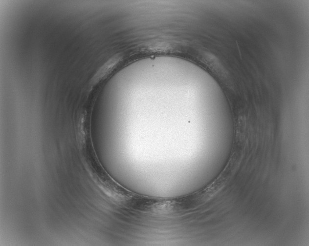 X0000053070116200507251510