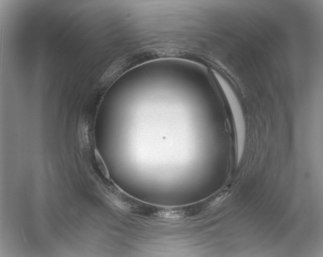 X0000053070117200507251510