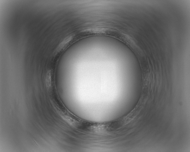 X0000053070120200507251510