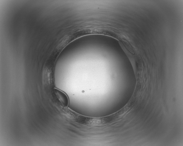 X0000053070123200507251510