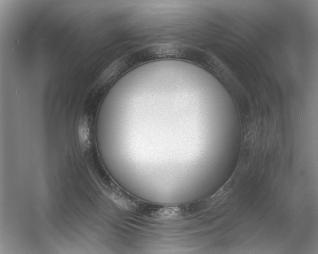 X0000053070124200507251510