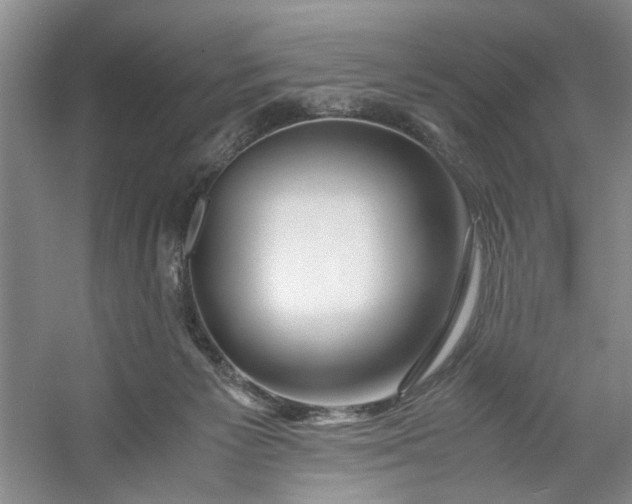 X0000053070125200507251510