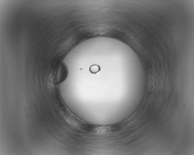 X0000053070126200507251510