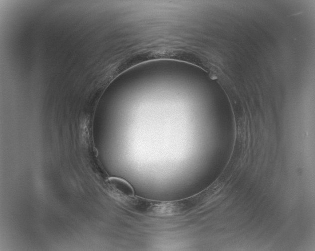 X0000053070127200507251510