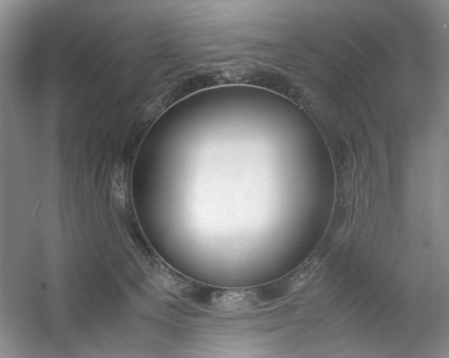 X0000053070129200507251509