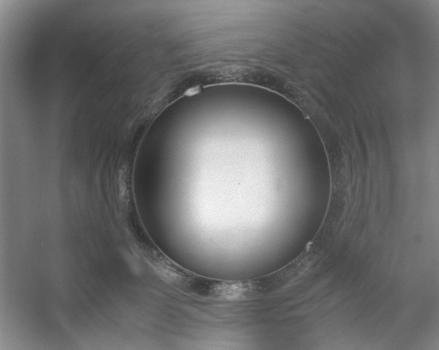 X0000053070131200507251509