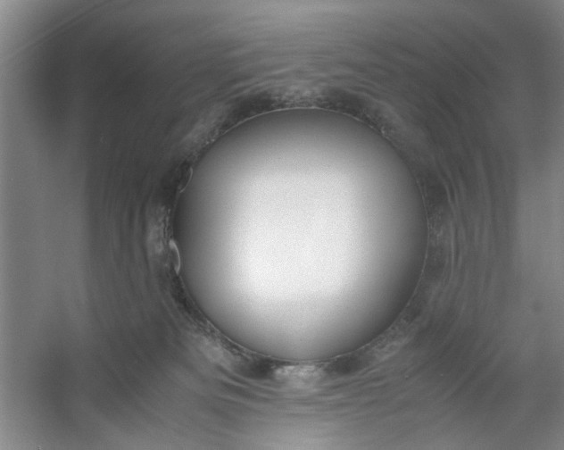 X0000053070133200507251509